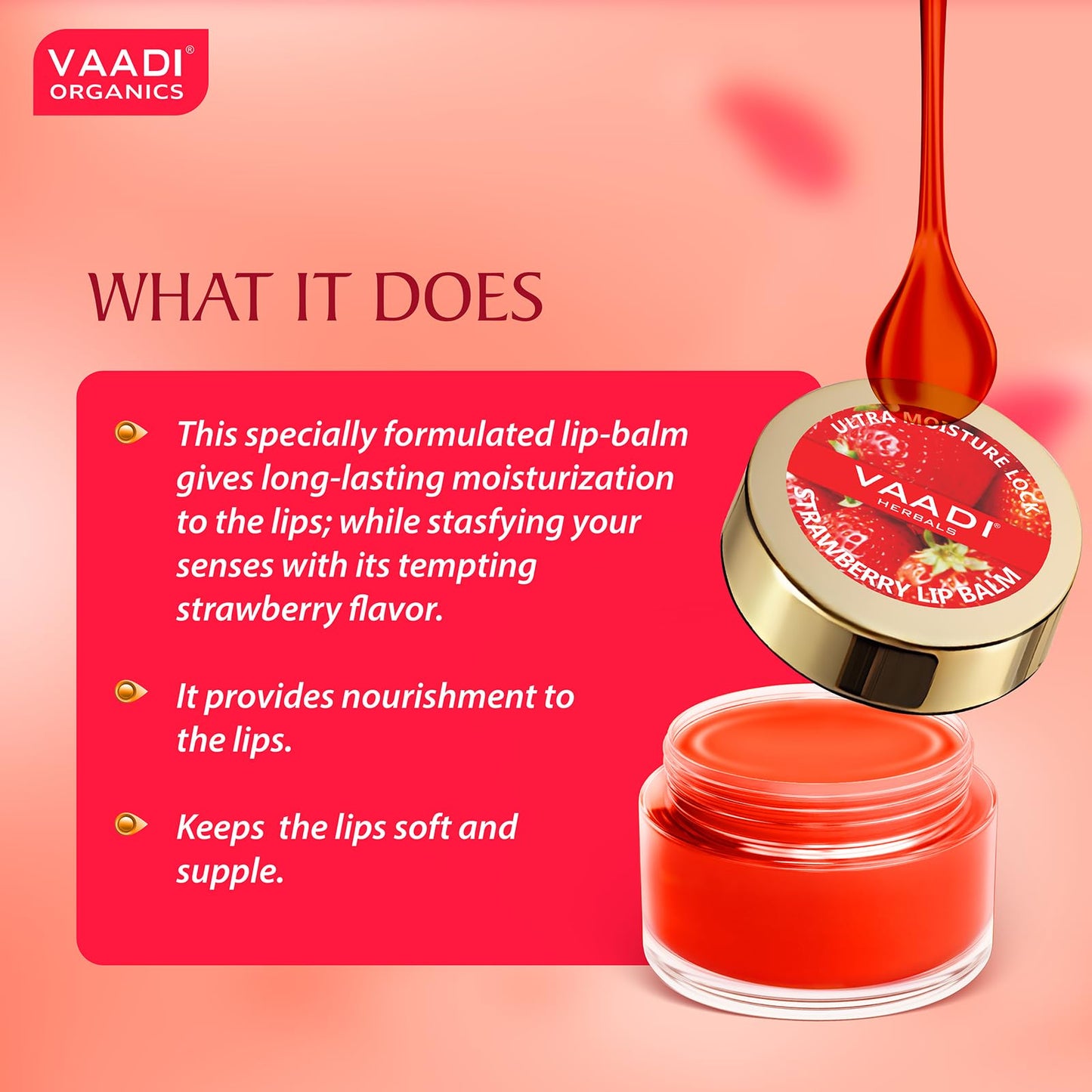 Vaadi Herbals Lip Balm, Strawberry and Honey, 10gm Beauty and Personal Care Vaadi Herbals