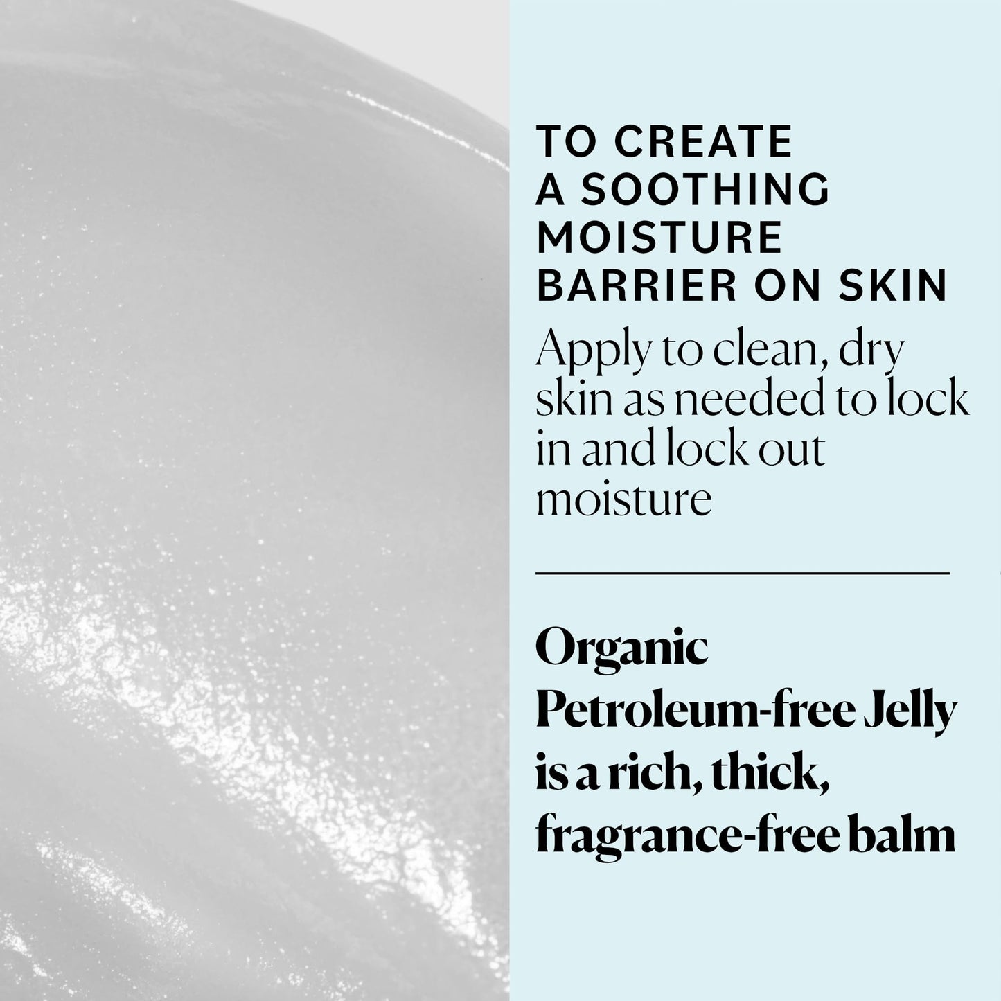 Sky Organics Organic Petroleum-free Jelly, Multi-Purpose Skin Care Balm with Organic Shea Butter, Coconut Oil, Olive Oil & Vitamin E, Moisturizing Lip
