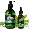 Jamaican Pure Cold Pressed Black Castor Oil Shampoo and Growth Set - 10.56 fl.oz Strengthen and Restore Shampoo for Damaged Hair