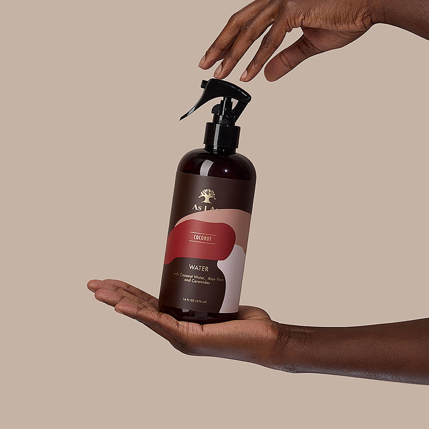 As I Am Coconut Water 16 fl oz - with Coconut, Aloe Vera and Ceramides - Supports healthy-looking hair and scalp