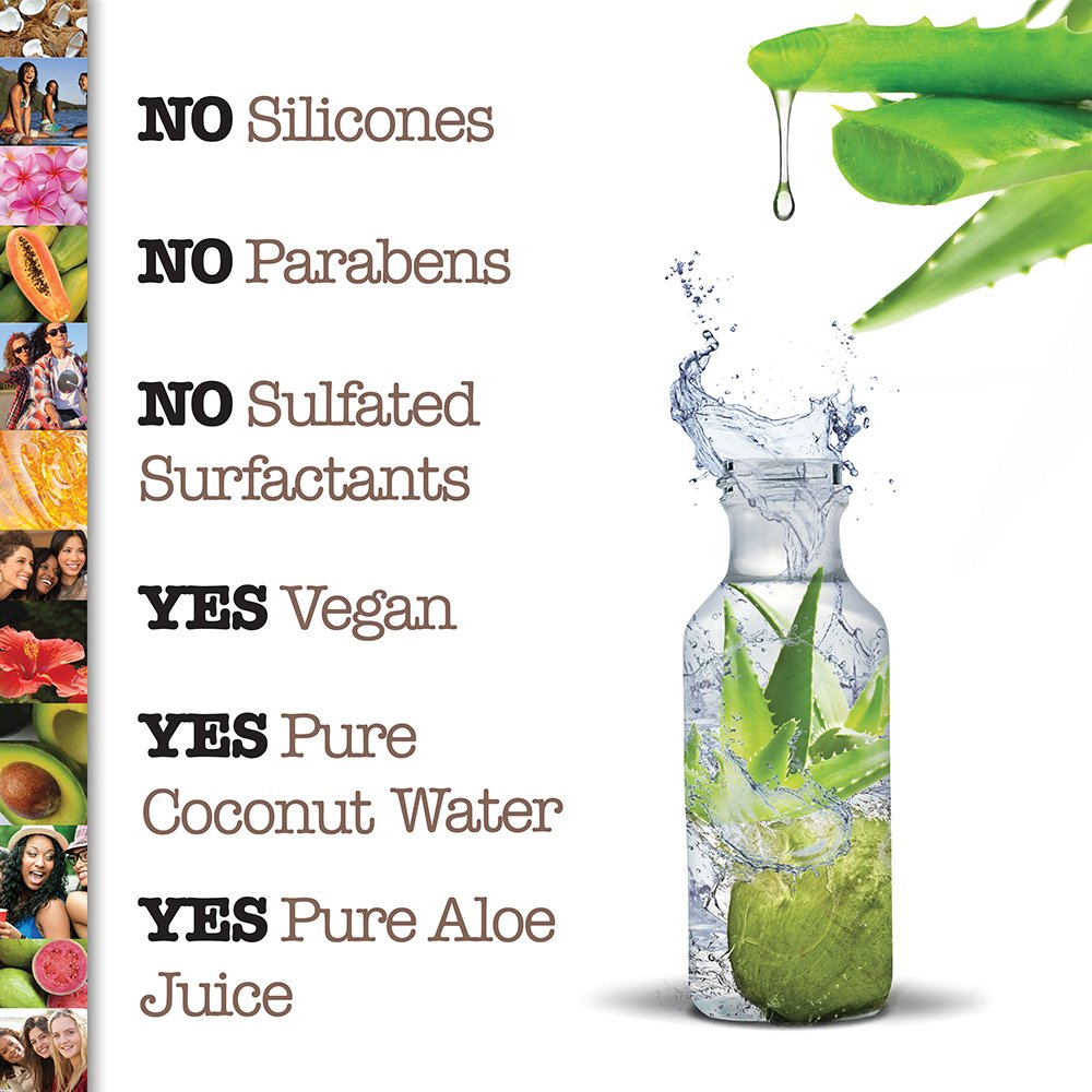 OGX Nourish & Moisture + Coconut Milk Weightless Oil Mist, Leave-In Spray Treatment to Help Defrizz, Hydrate & Replenish Curly Hair, Vegan, Silicone & Paraben-Free, 4.2 fl oz