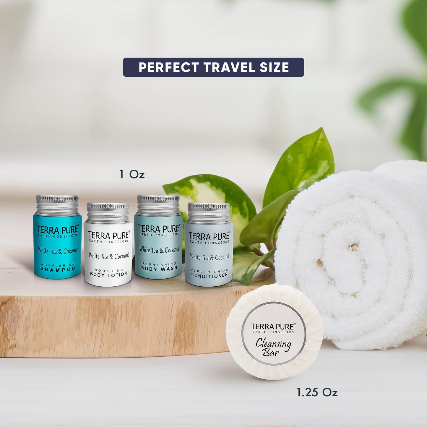 Terra Pure White Tea & Coconut Toiletries Set | 1-Shoppe Amenities Kit | 1oz Shampoo & Conditioner, Body Wash, Lotion, 1.25oz Bar Soap | Travel Size |