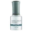 LeChat Perfect Match Gel Polish, Smoke Show, 0.5 Fl Oz (PMS260) Beauty & Personal Care LECHAT
