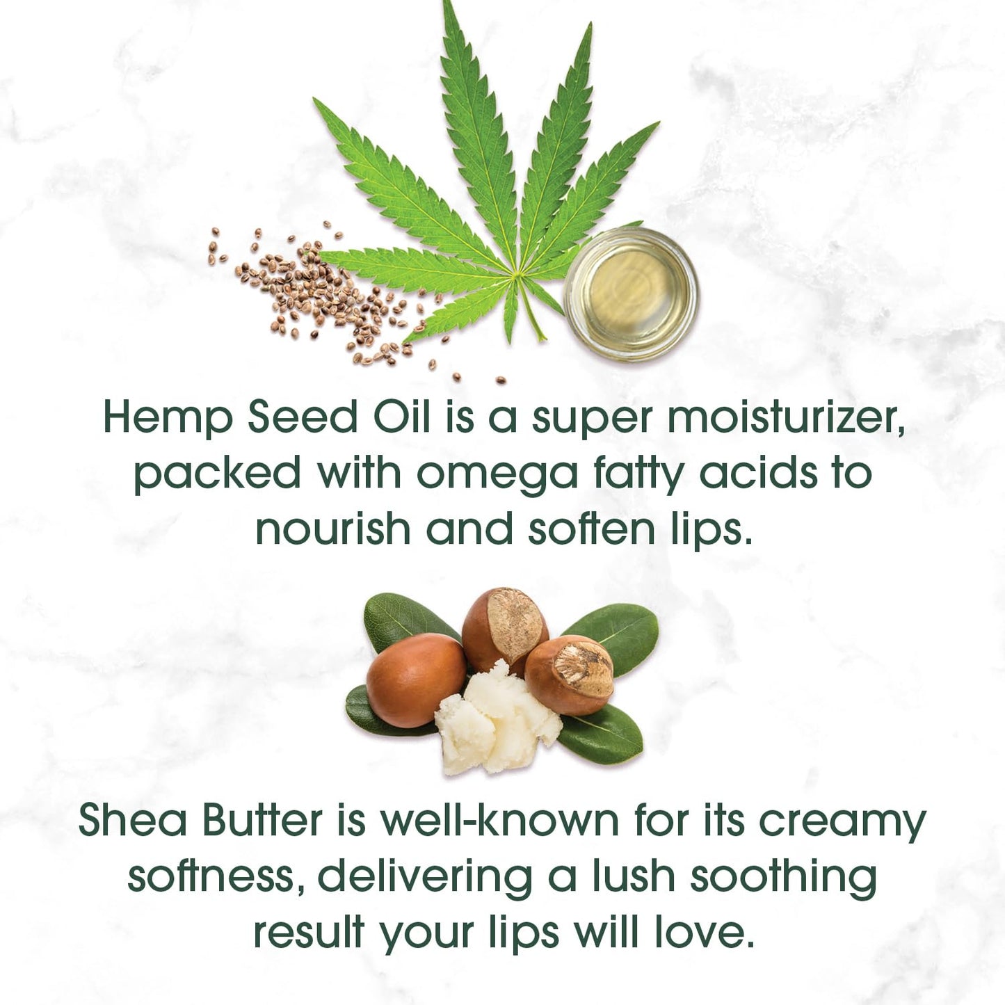 Blistex Hemp & Shea Hydration, 2 count