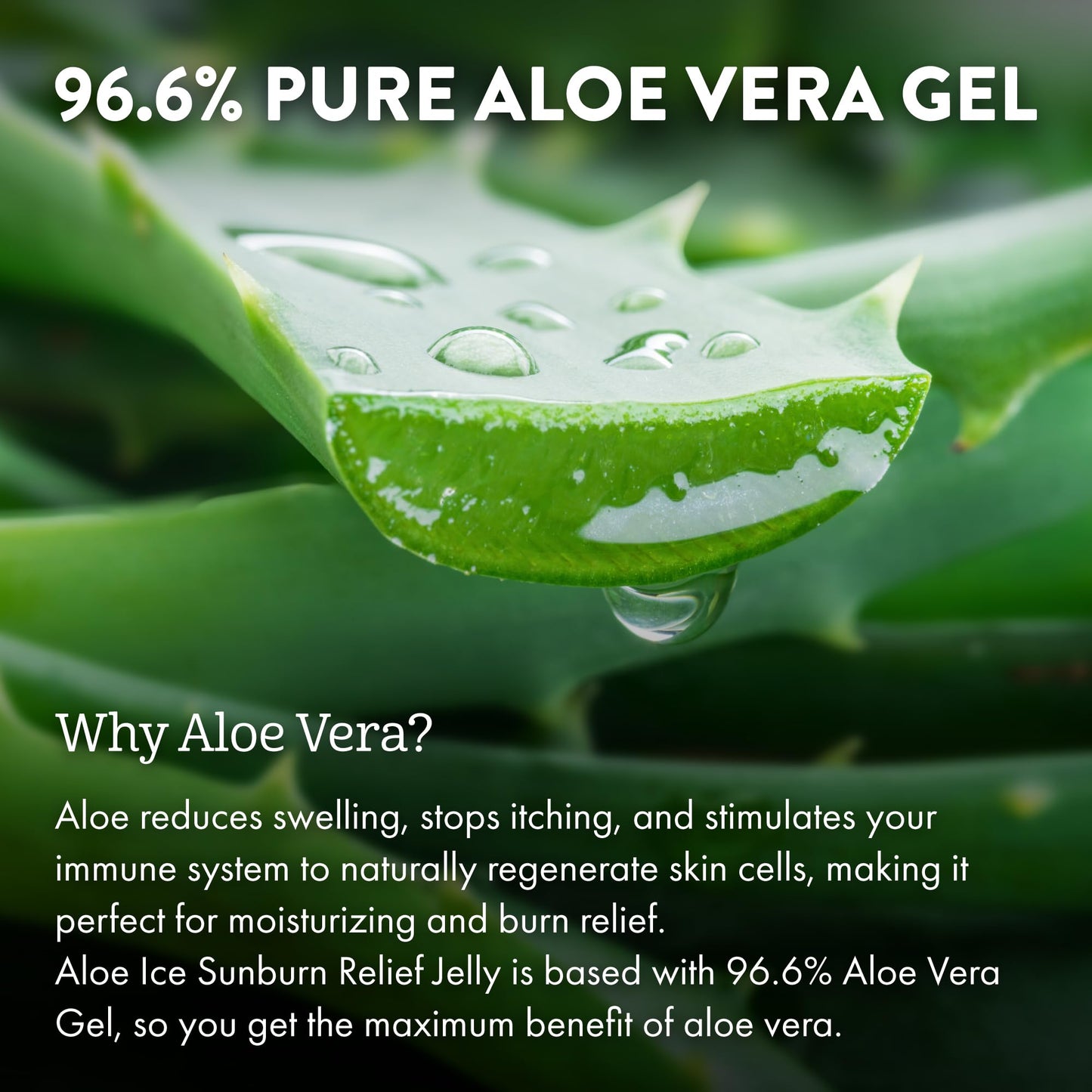 ALOE UP Aloe Ice Sunburn Relief Gel – 96.6% Pure Aloe Vera After Sun Jelly for Face & Body, Organic, Reef Safe, Alcohol & Fragrance Free, 4oz