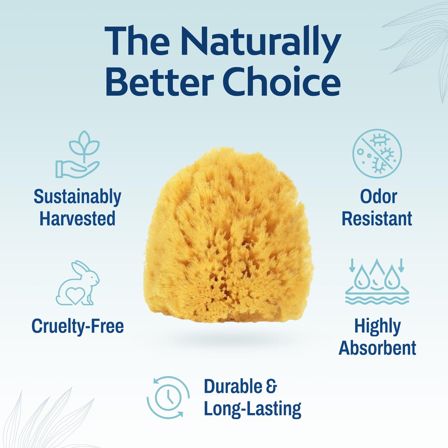 HartFelt Exfoliating Grass Sea Sponge 4in - Natural Exfoliating Body Scrubber Sponge for Shower for Women and Men Beauty and Personal Care HartFelt