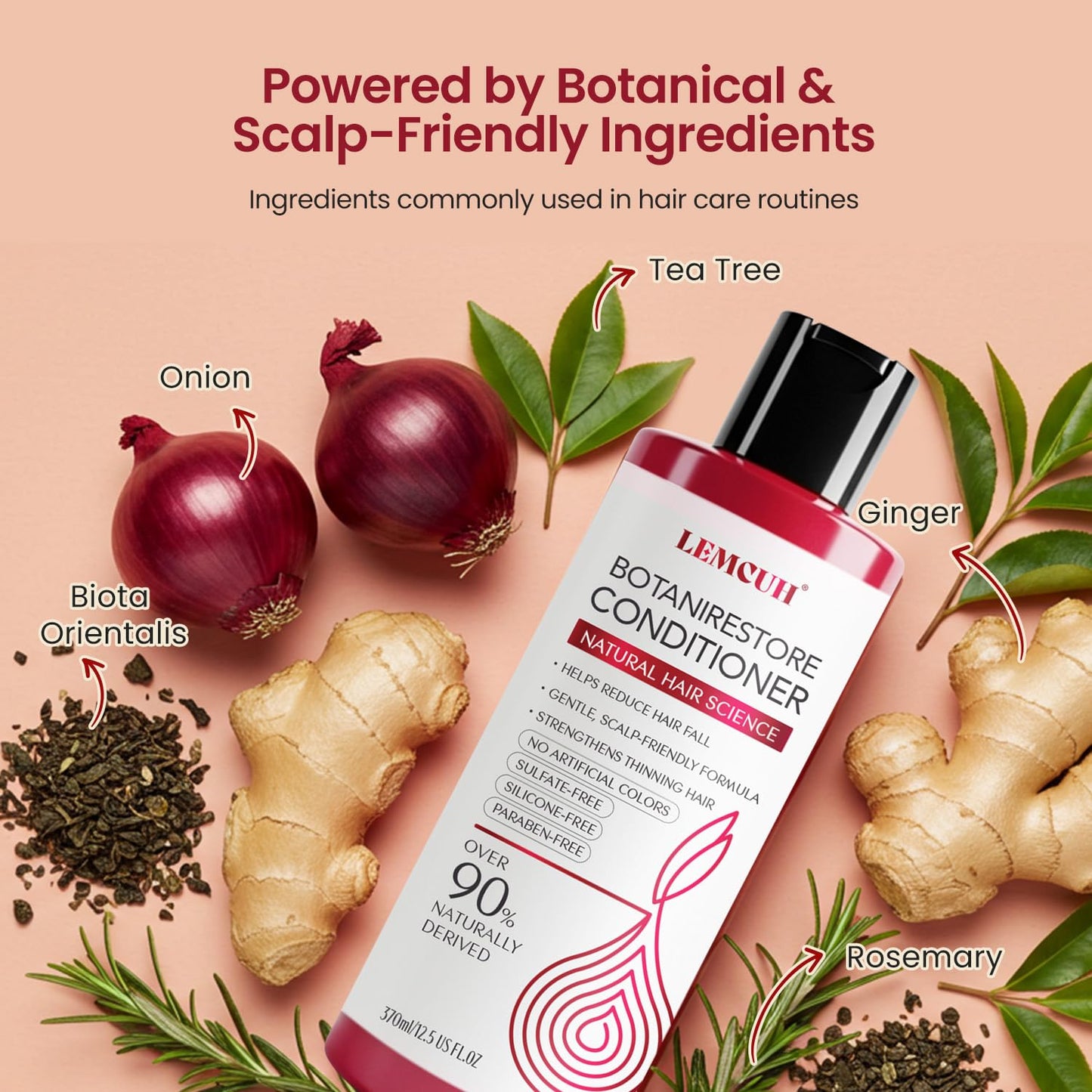 Onion Shampoo and Conditioner For Hair Growth - Onion Hydrosol Shampoo Duo With Biotin, Rosemary For Thinning and Healthier Thicker hair - Paraben