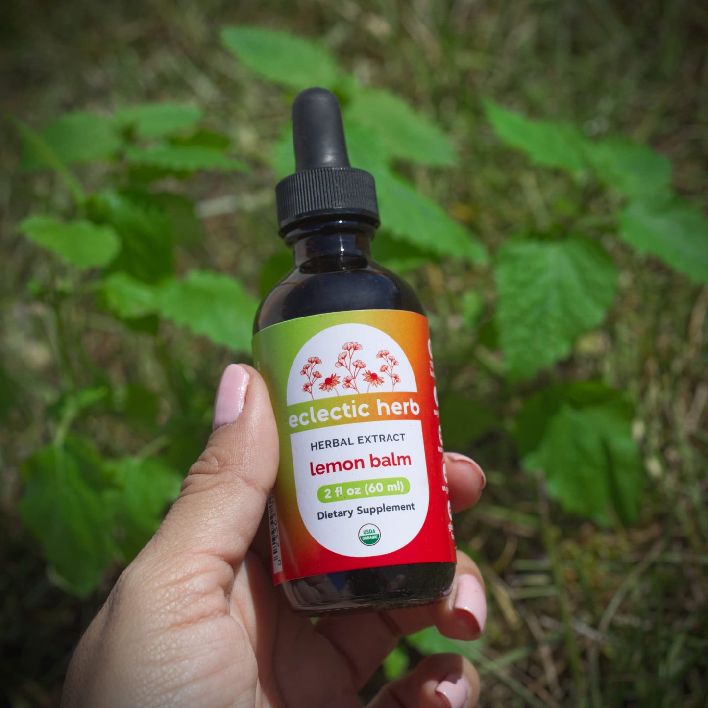 Eclectic Herb - Organic Lemon Balm Extract | Pure Herbal Drops for Calm & Relaxation | Nervous System Support | Vegan, Natural, Non GMO, Gluten Free