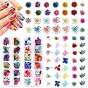 216PCS Dried Flowers - Nail Art Accessories Kits, 57 Color Lovely Natural Dried Flowers for Resin Molds and Nails, YWLI