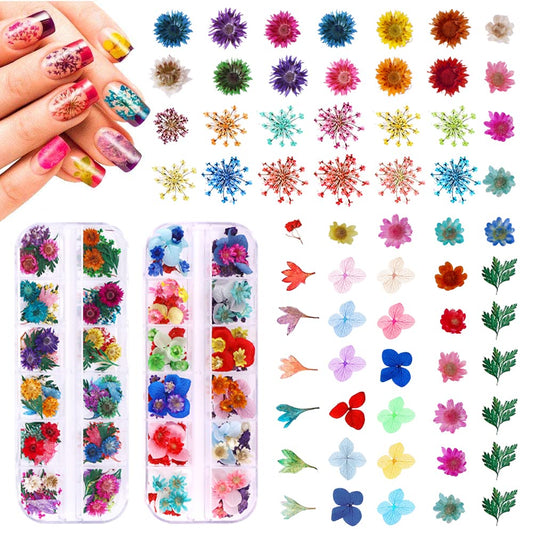 216PCS Dried Flowers - Nail Art Accessories Kits, 57 Color Lovely Natural Dried Flowers for Resin Molds and Nails, YWLI Beauty & Personal Care YWLI