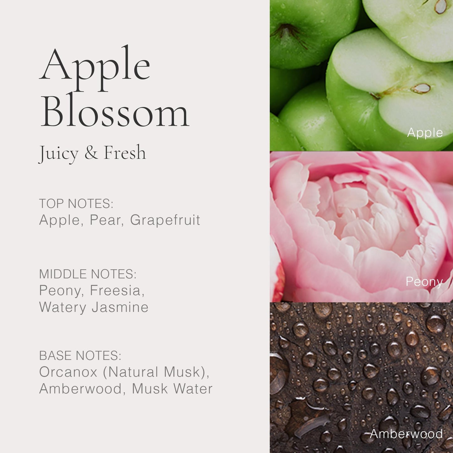 CLEAN CLASSIC Apple Blossom 60mL