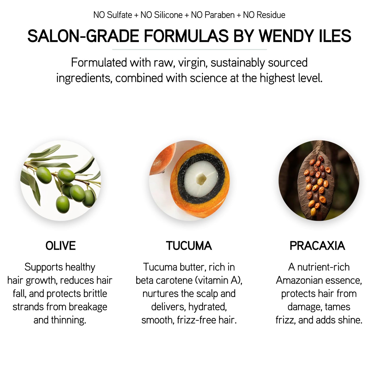 ILES FORMULA Signature Collection Deep Repair Shampoo & Conditioner w/Finishing Serum Blow Dry Cream for Dry, Damaged, Frizzy Hair - Hydrating Hair