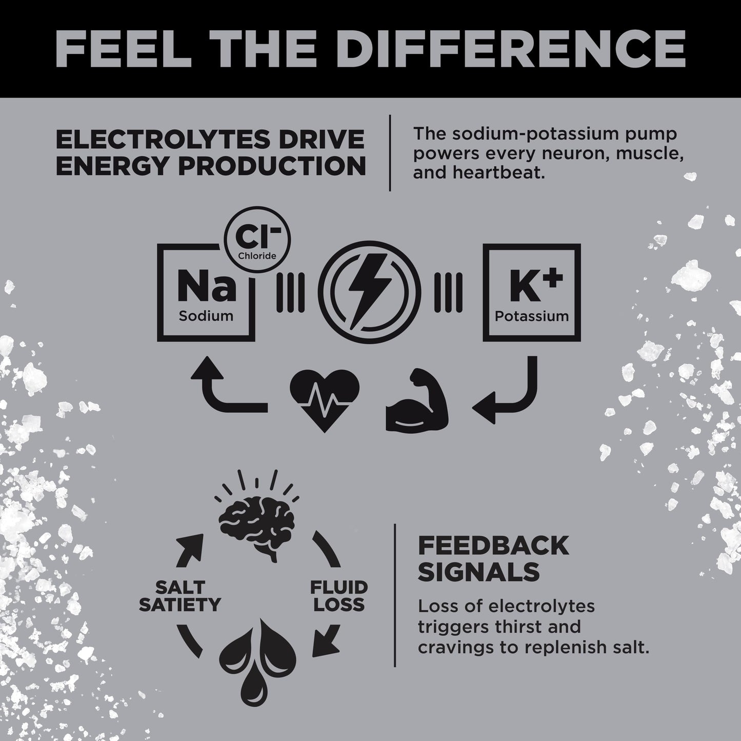 LMNT Zero Sugar Electrolytes - Variety Pack Bundle | Drink Mix | 36-Count