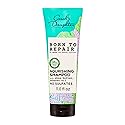 Carol's Daughter Born To Repair Nourishing Shampoo, Sulfate-Free Hair Care for Curly Hair with Shea Butter, 11 Fl Oz
