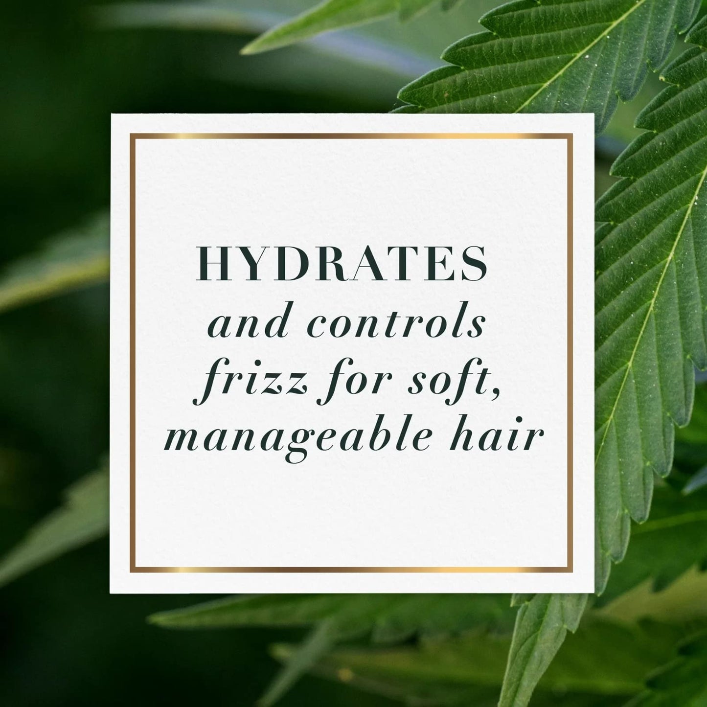 Herbal Essences Bio:Renew Sulfate Free Hemp + Potent Aloe Shampoo and Conditioner Set, 13.5 Fl Oz Each - Nourishes Dry Hair for Frizz Control, Paraben