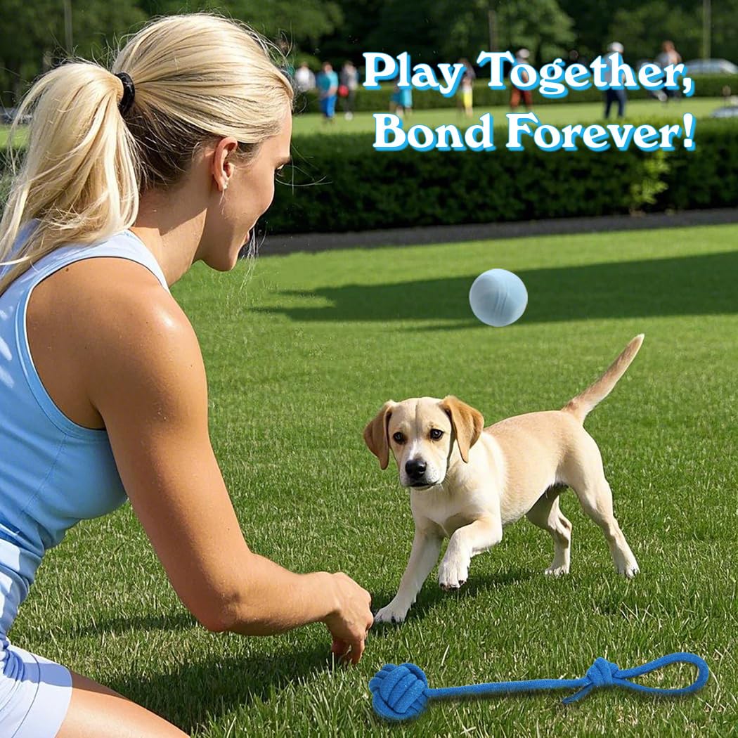 Beiker 20 Pack Puppy Chew Toys - Blue Teething Rings, Ropes & Rubber Balls for Small Dogs, Interactive Puppy Toys Bundle for Small Breeds