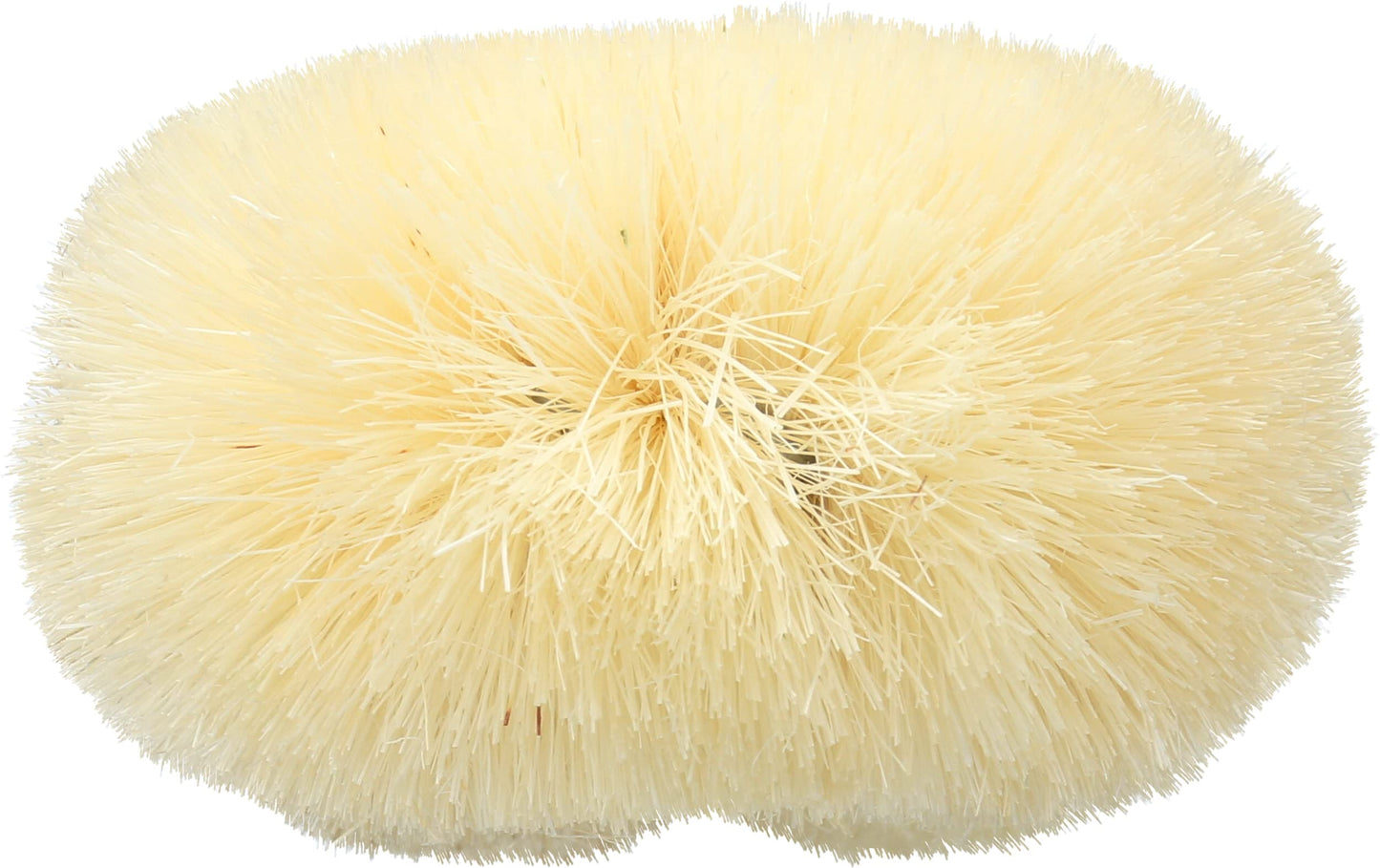 Baudelaire Sisal Bath Brush for Shower - 9 in - Traditional Japanese-Style Loofah Brush for Excellent Body Exfoliation - Essential Back Scrubber That