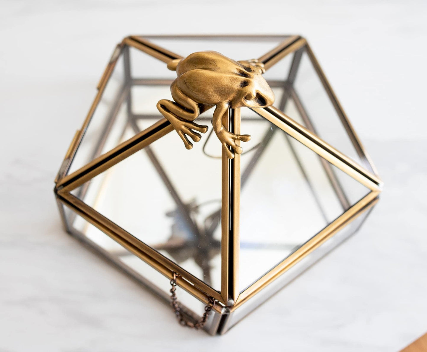 Ukonic Harry Potter Gold Chocolate Frog Jewelry Box Organizer Display Case Container | Jewelry Dish Trinket Tray For Necklaces, Rings, Bracelets…