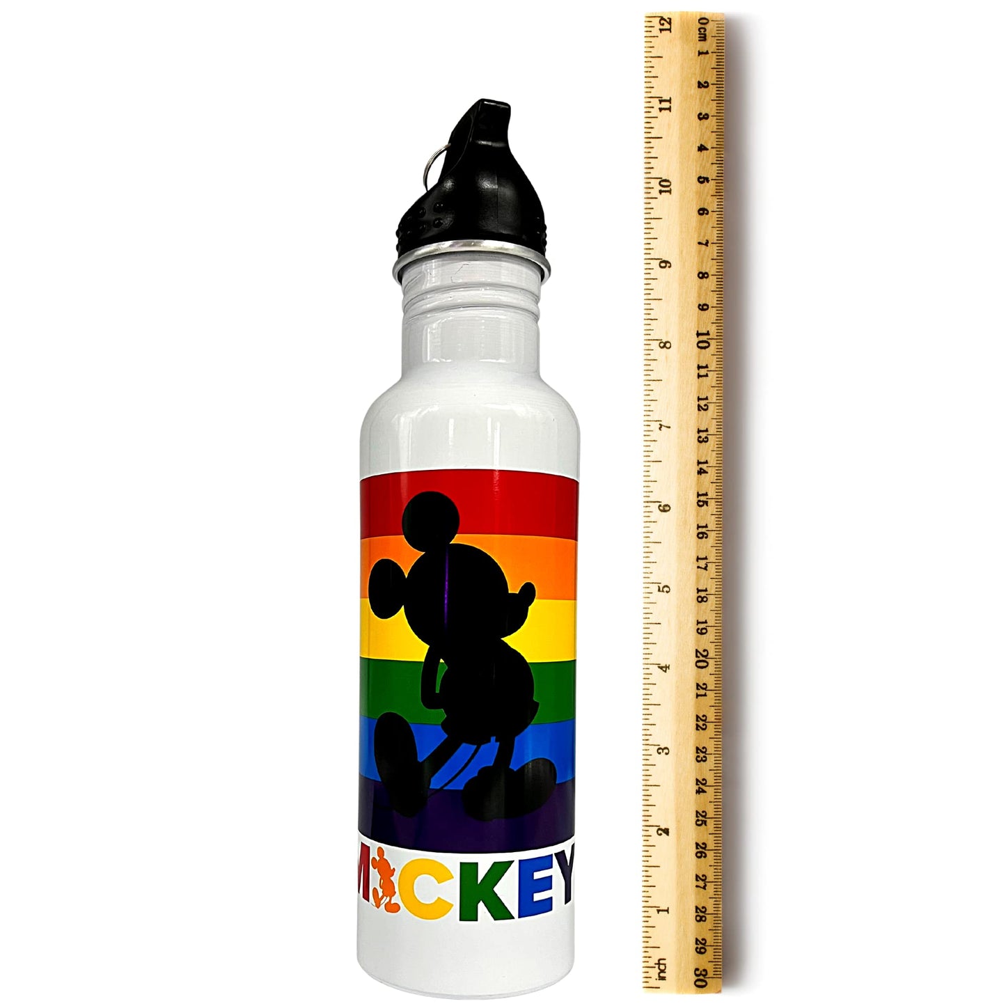 Jerry Leigh 2022 Mickey Mouse Gay Pride Water Bottle, Disney Rainbow Souvenir Collectible Aluminum Drinking Cup with Lid