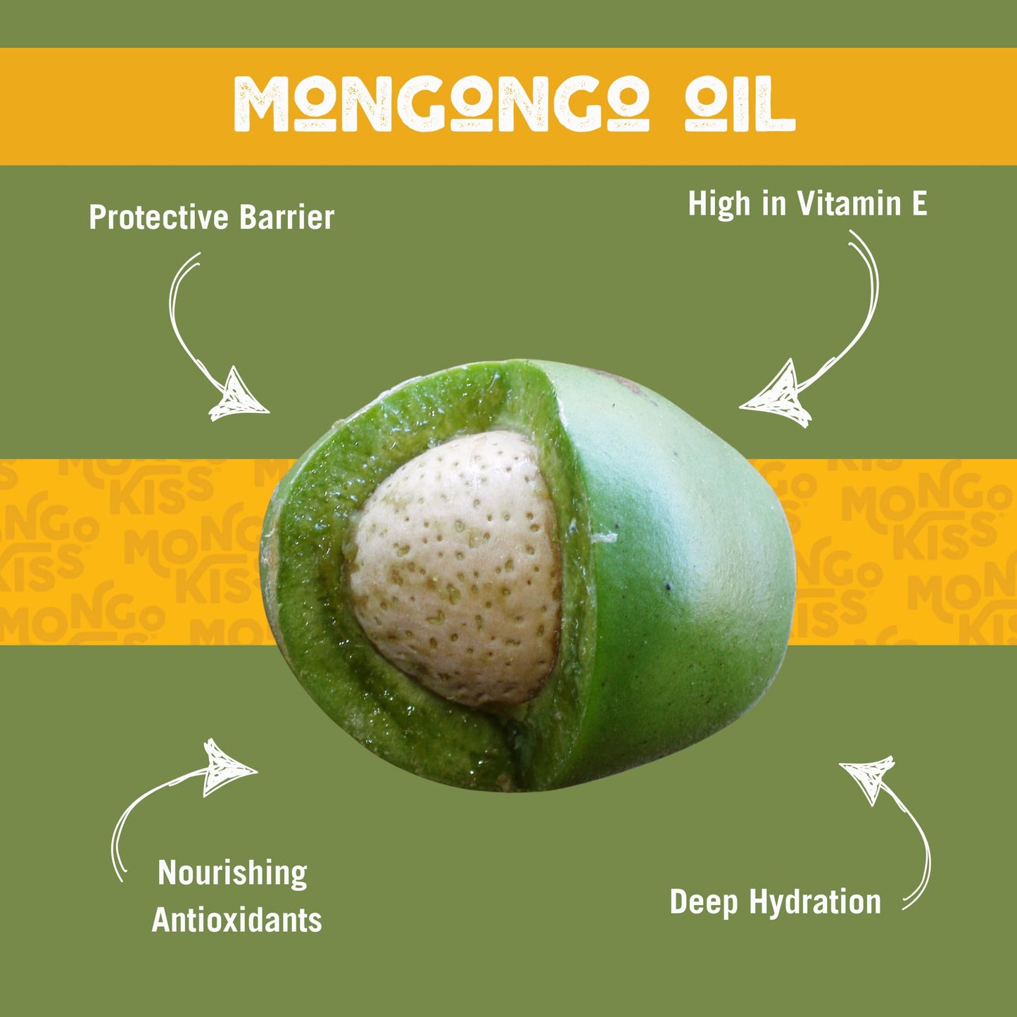 LIP BALM Mongo Kiss 6-Pack (6 tubes) Vanilla Honey by Eco Lips 100% Organic Beeswax & Cocoa Butter Lip Care with Organic Mongongo Oil - Soothe