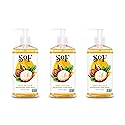 South Of France SoF Nourishing Hand Wash - With Moisturizing Sea Algae, Coconut & Olive Oil- Vegan & Non GMO- Free From Phthalates, Sulfates