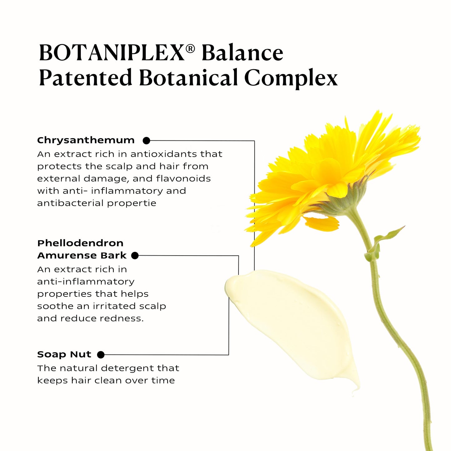 KAMEDIS Hair Conditioner Botanicals-Based. Moisturizer for Dry Damaged Hair & Sensitive Scalp. Contains Shea Butter, Coconut Oil & Argan Oil.16.9 Fl