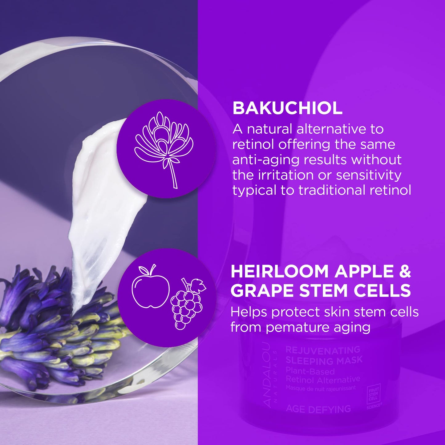 AGE DEFYING Plant Based Retinol Alternative Rejuvenating Sleeping Mask