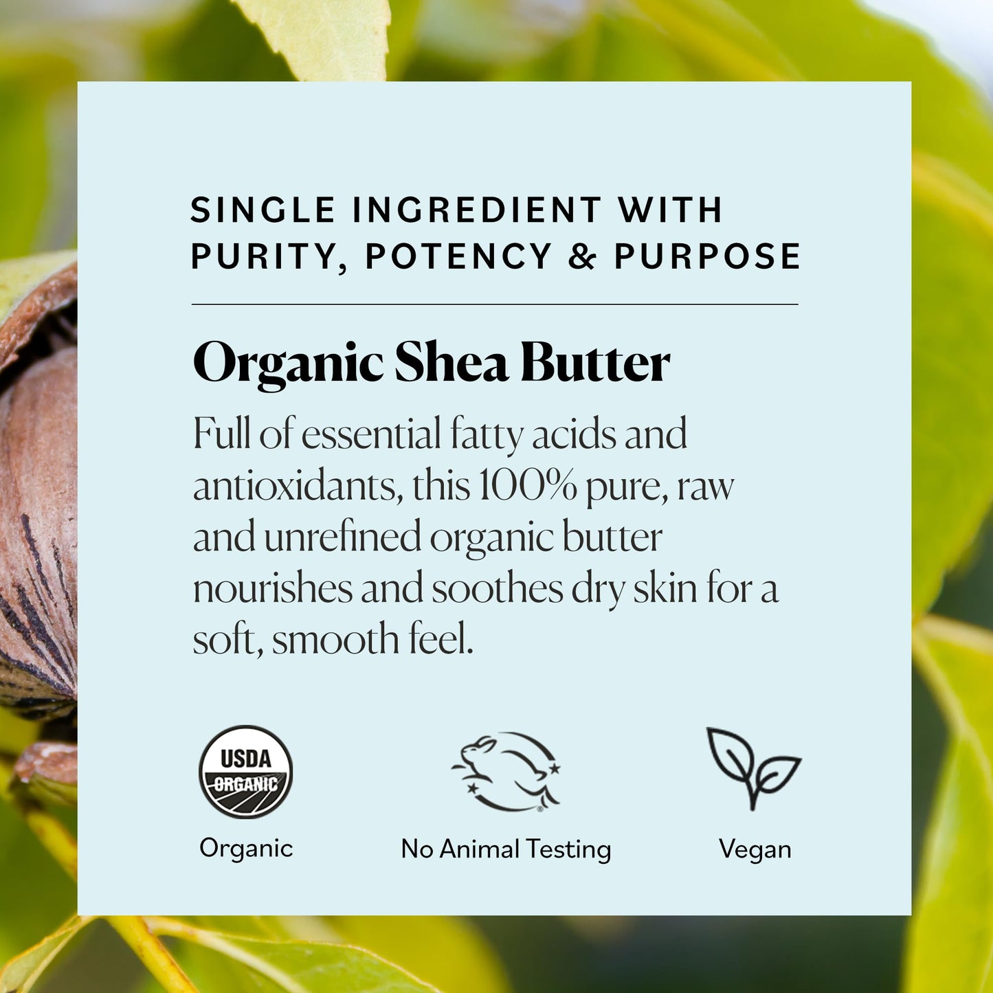 Sky Organics - Organic Shea Butter, 15 oz - Nourishes, Soothes, and Softens Dry Skin - Raw & Unrefined - Essential Fatty Acids & Antioxidants