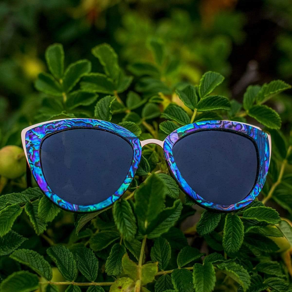 SLYK Bombshell Sunglasses (Abalone Seashell/Smoke)