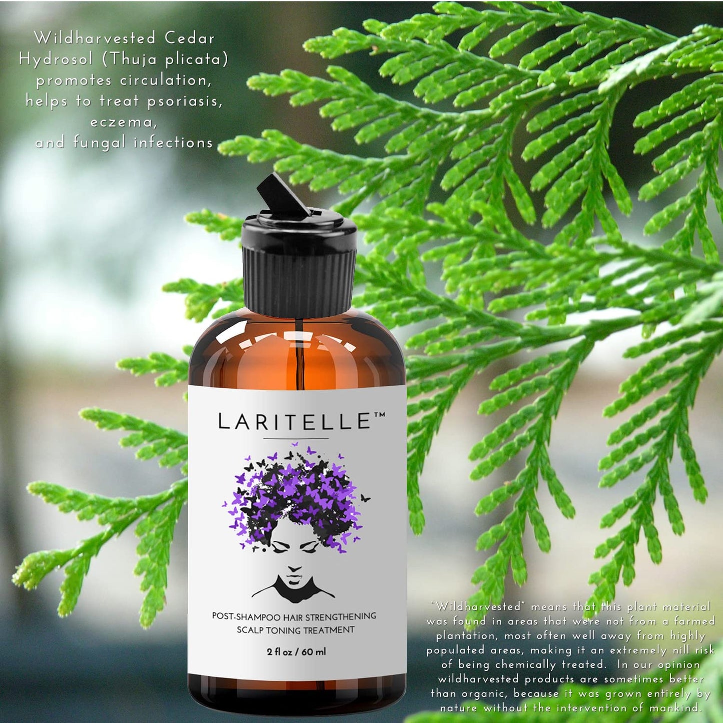 Laritelle Organic Post-Shampoo Hair Strengthening & Scalp Toning Treatment - Rosemary, Saw Palmetto, Cedar & Nettle Hydrosols - 3 x 2 oz