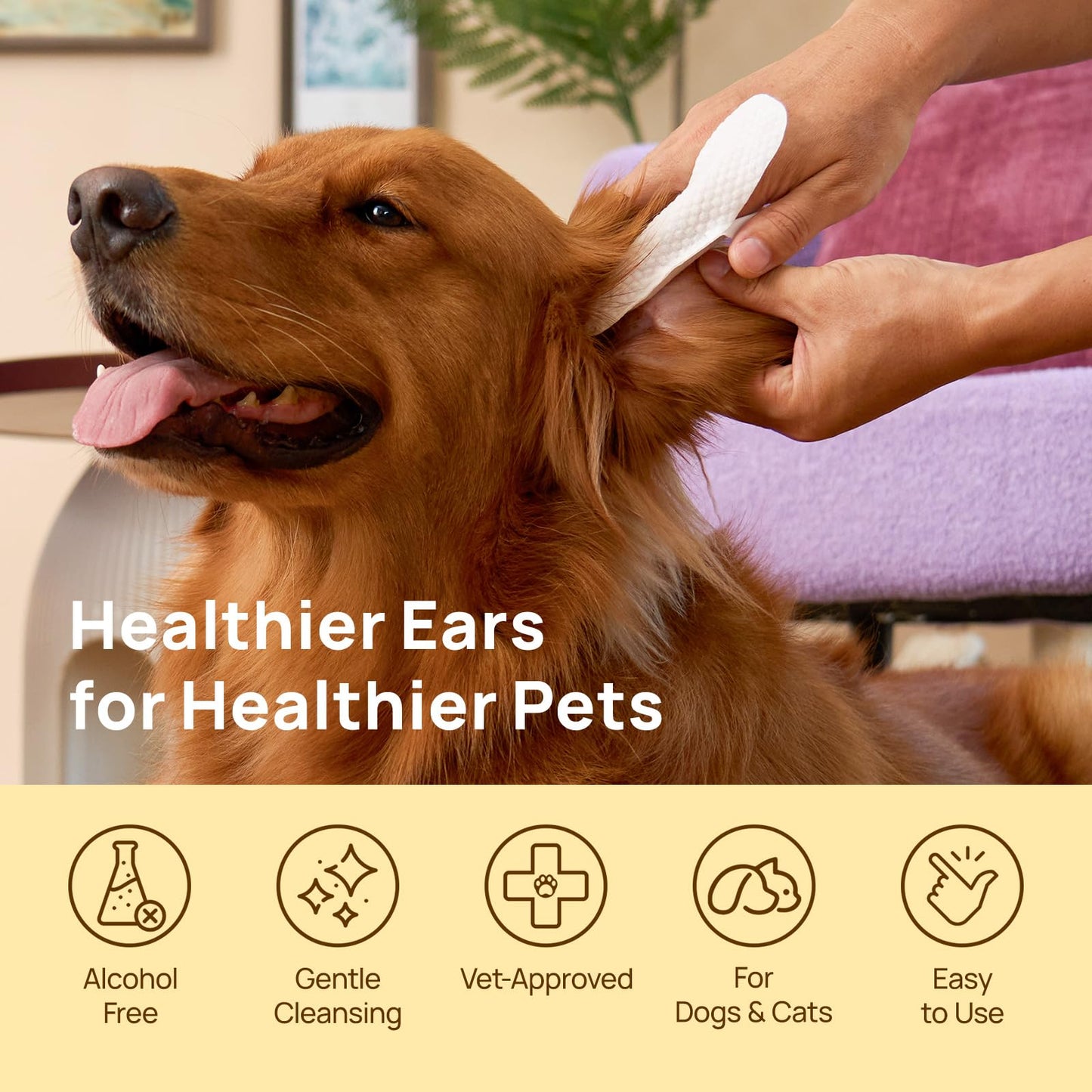 HICC PET Dog Ear Wipes Finger 50 Count - Ear Cleaner Wipes for Dogs & Cats, Relieve Itching, Inflammation, Remove Wax & Dirt, Fresh Coconut Scent