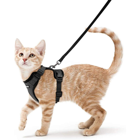 rabbitgoo Escape-Proof Cat Harness & Leash – Soft Adjustable Vest with Reflective Strips for Walking, Easy Control, Breathable, Black XS