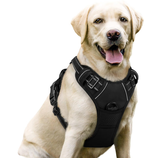 rabbitgoo No-Pull Dog Harness for Large Dogs, Adjustable Padded Vest with 2 Leash Clips, Reflective & Easy Control Handle, Black L