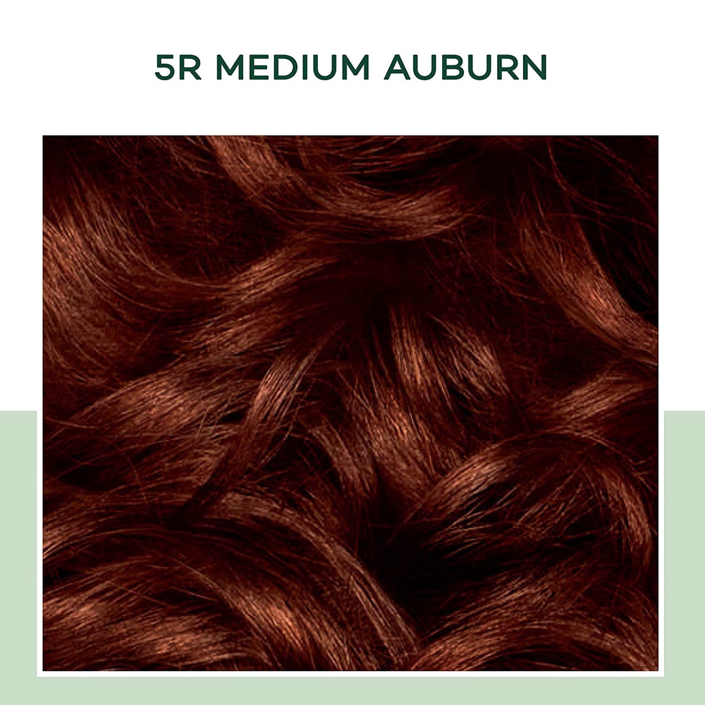 Clairol Natural Instincts Hair Color, [5R] Medium Auburn 1 Each (Pack of 8) Beauty & Personal Care Clairol