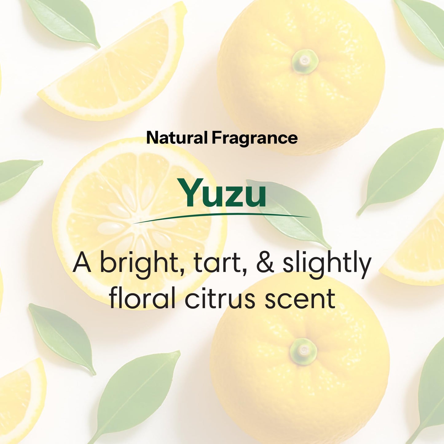 ShiKai Daily Moisturizing Shower Gel (Yuzu, 1 Gallon) | Gentle Soap-Free Formula | with Aloe Vera & Finely Ground Oatmeal for Soft, Healthy Skin | Dry