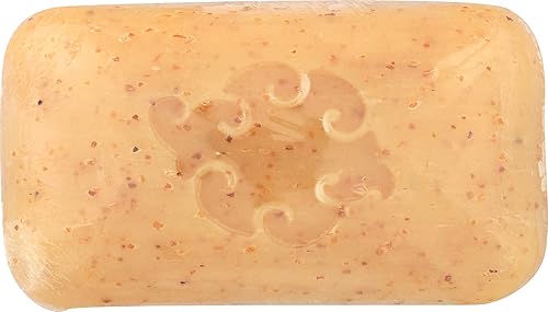 Baudelaire, Soap Bar Loofah Spice, 5 Ounce