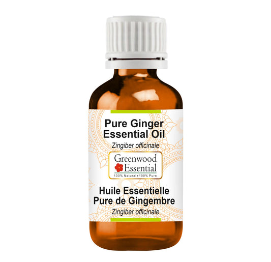 Greenwood Essential Ginger Essential Oil (Zingiber officinale) Pure - Non-Sticky - Non-Greasy - Lightweight - Men & Women - All Skin Types - Steam Beauty and Personal Care Greenwood Essential
