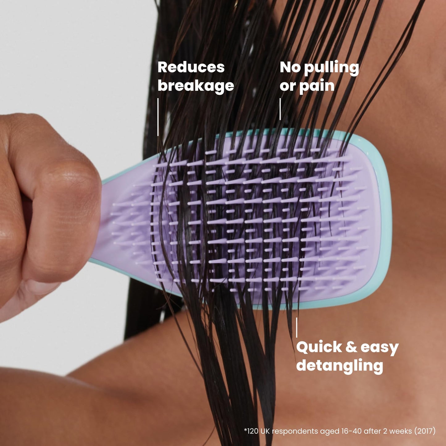 Tangle Teezer Ultimate Detangler Mini Hair Brush, Wisteria Leaf Beauty and Personal Care TANGLE TEEZER
