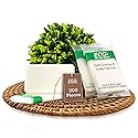 ECO amenities Bar Soap Pack - 200 Count, 1 oz Travel Body Bars - Individually Wrapped Hotel Guest Soaps for Travel Hygiene - Light Green Tea Scent