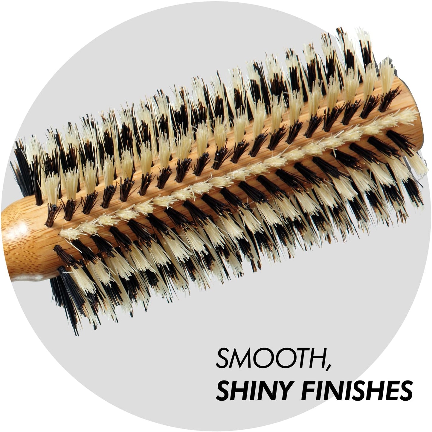 Sam Villa Signature Series Nylon & Boar Bristle Hair Brush 6-Piece Styling Brush Set with Case