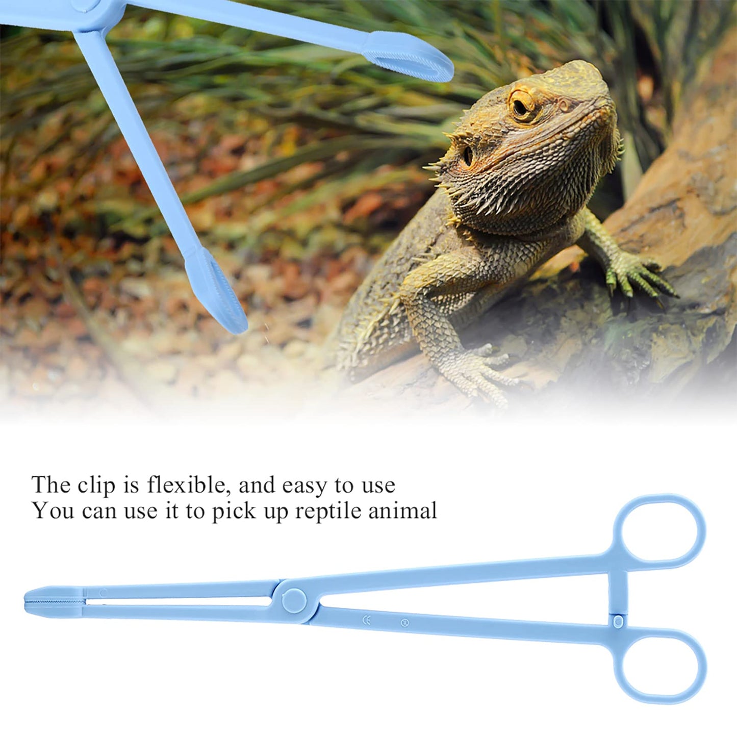 Reptile Feeding Tongs Blue Plastic Snake Lizard Clamps 24.5cm Wide Grip Safe Handling Tool for Pet Owners Breeders Amphibian Terrarium Enthusiasts Beauty and Personal Care GLOGLOW