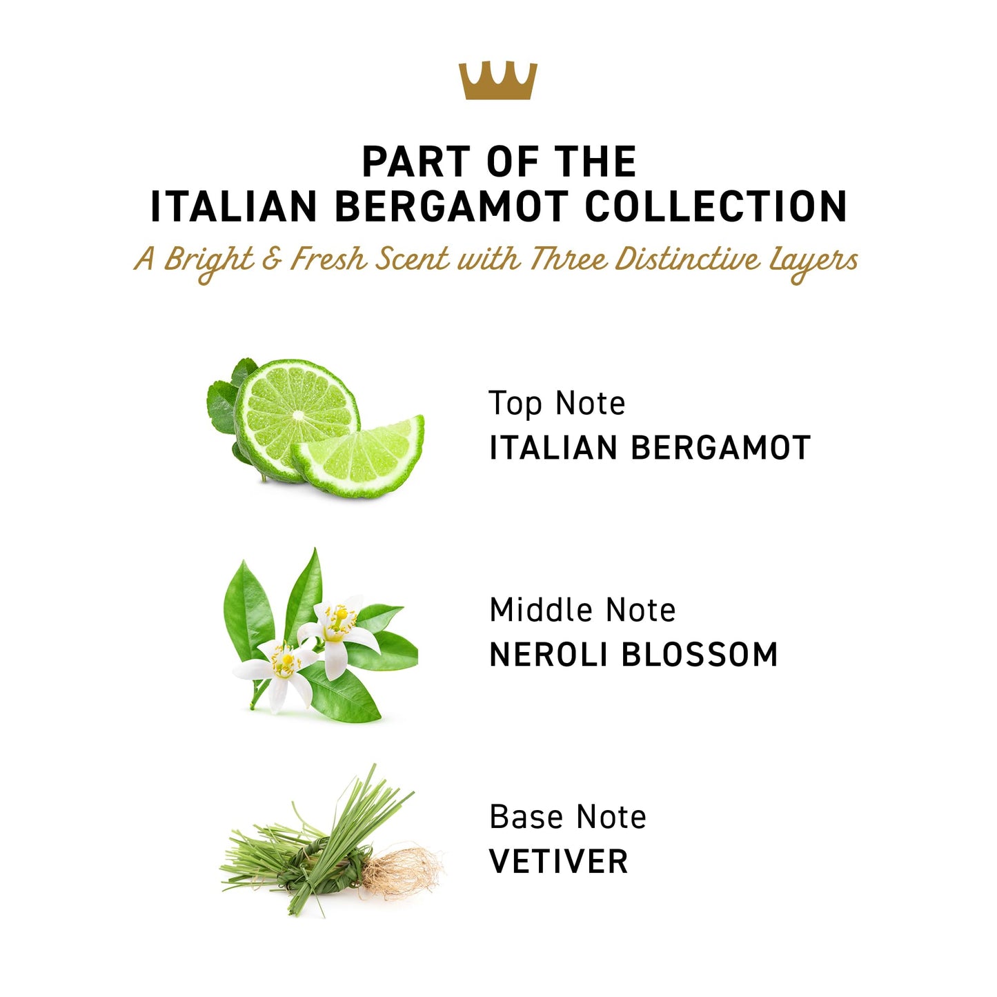 Cremo Italian Bergamot Antiperspirant & Deodorant for Men, 48-hour Sweat and Odor Protection, 2.65oz Beauty and Personal Care Cremo
