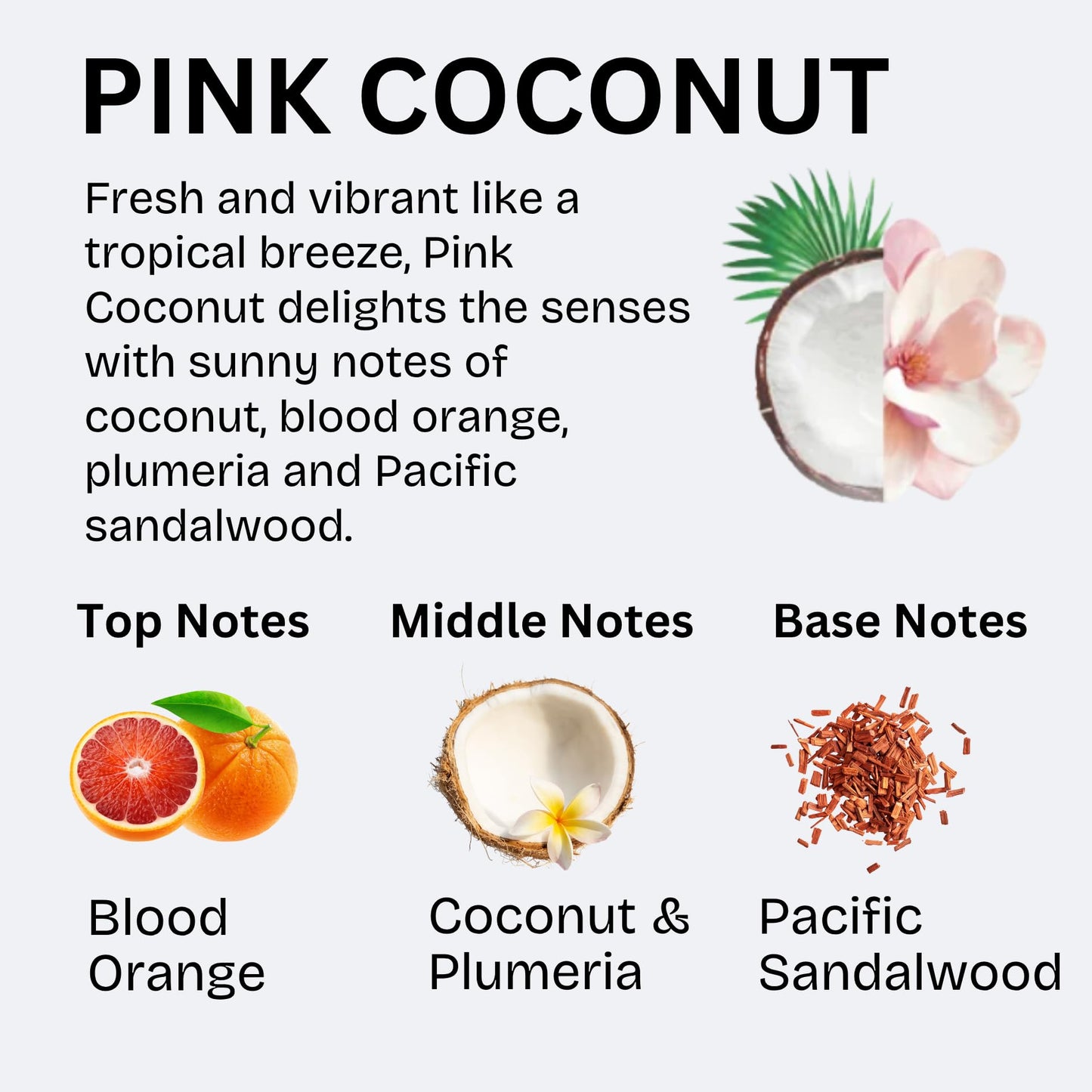 ALO FRUITS & PASSION Pink Coconut Hand Soap Set, 8.4 fl oz Bottle and 33.8 fl oz Refill, Made in Canada Beauty & Personal Care ALO FRUITS & PASSION