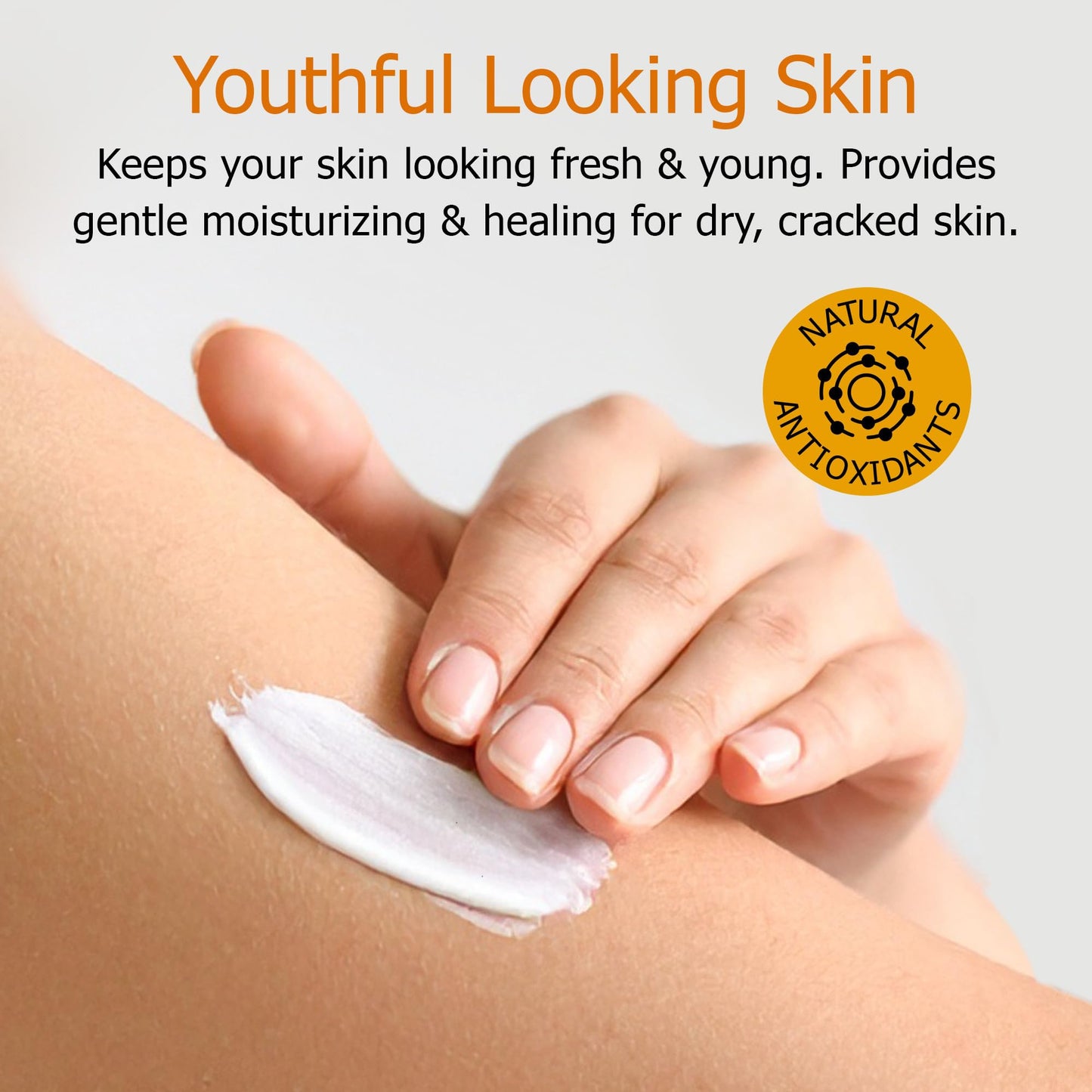 Fruit of the Earth, Vitamin E Lotion 16 oz (2 Pack), with Natural Antioxidants and Aloe Vera, Non-Greasy Formula
