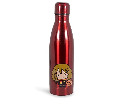 Harry Potter Hermione Aluminum Sleek Insulated 16 Ounce Water Bottle For Girls, Boys & Kids - Leakproof Lids & Sweat Proof Drinking Bottle - Great