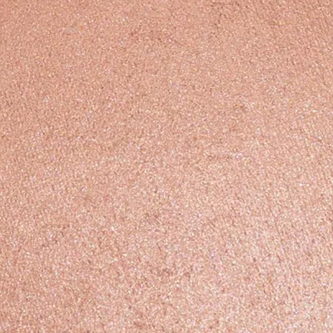 Palladio Baked Bronzer, Highly Pigmented and Easy to Blend, Shimmery Bronzed Glow, Use Dry or Wet, Lasts all day long, Provides Rich Tanning Color
