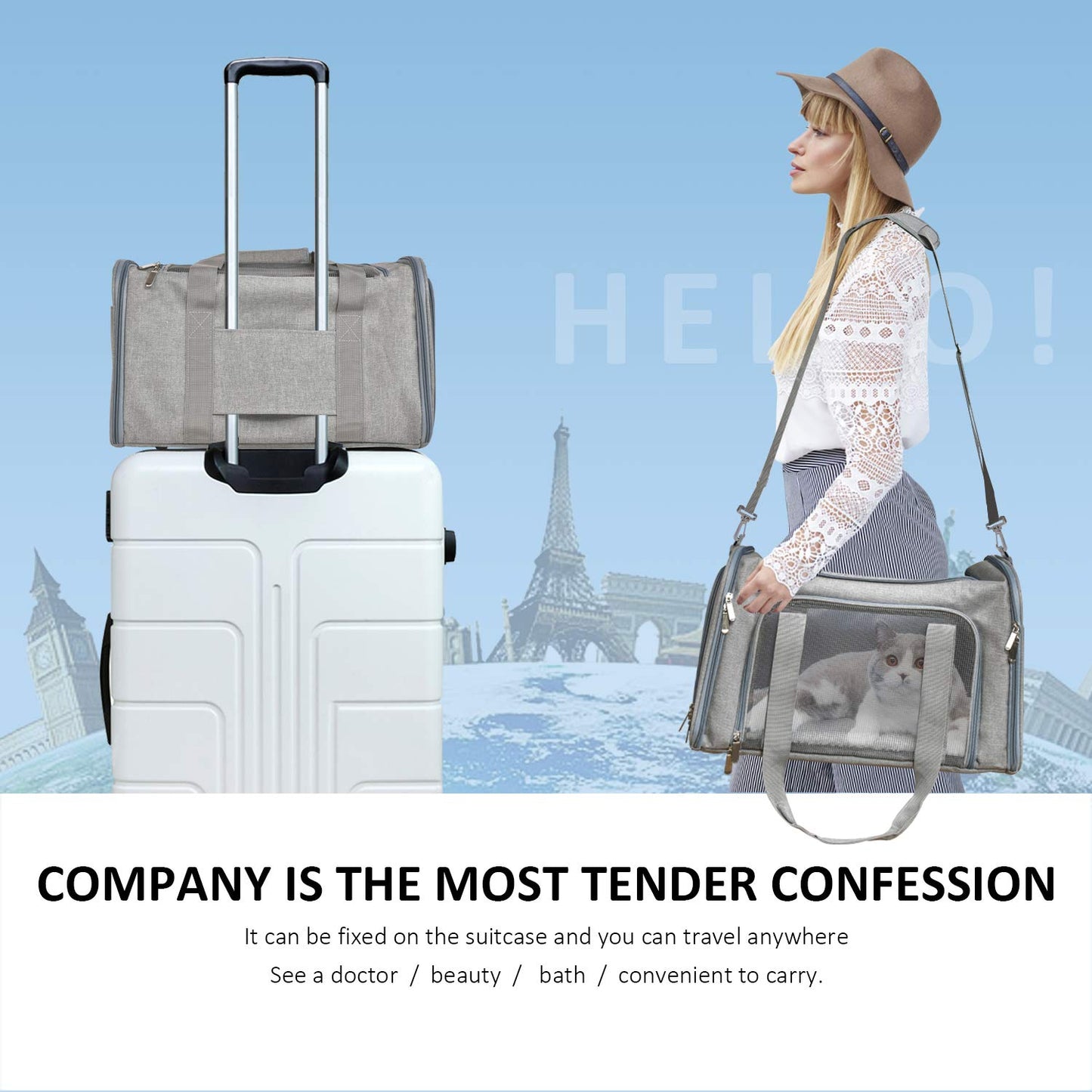 Henkelion TSA Approved Pet Carrier – Soft, Collapsible Travel Bag for Small Dogs & Cats up to 15lbs, Waterproof, Grey