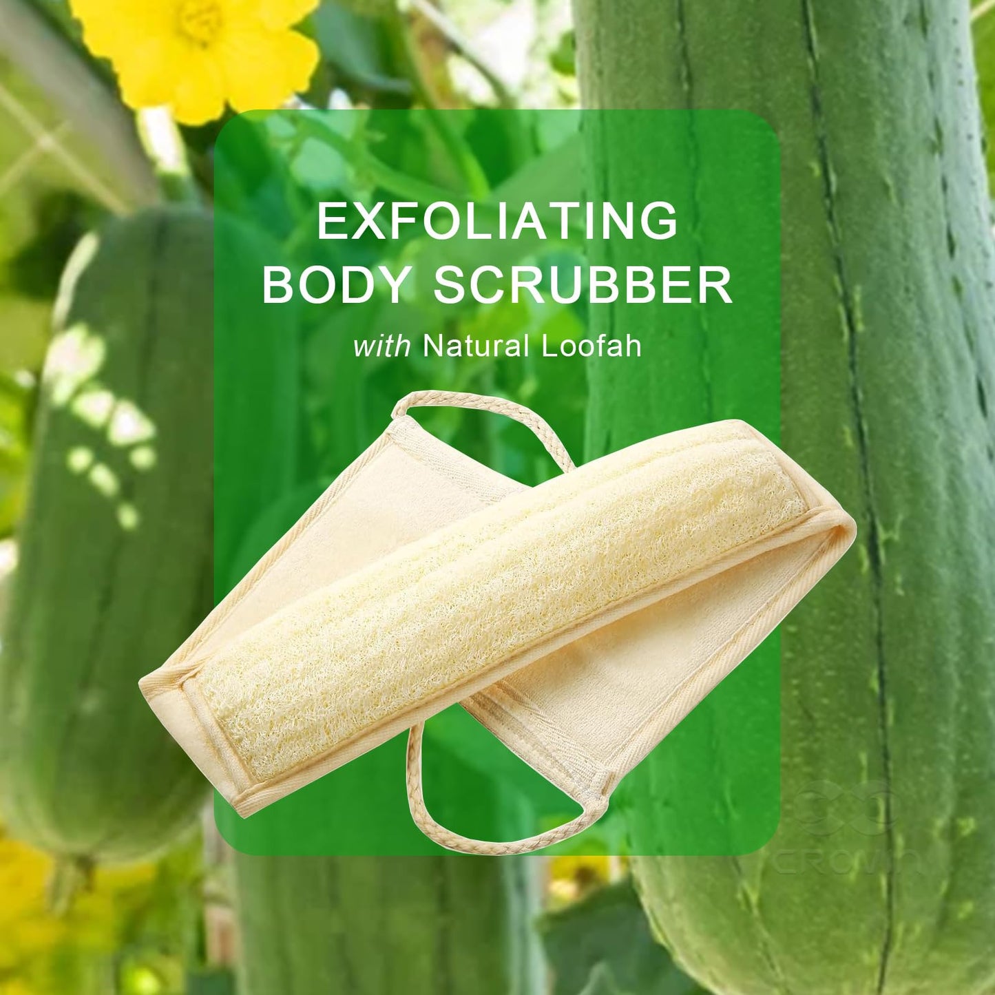 CROVIN Dry Brushing Body Brush with Natural Boar Bristle Dry Brush for Exfoliating Loofah Body Scrubber - Face Brush -Bath and Shower Gloves - Pumice