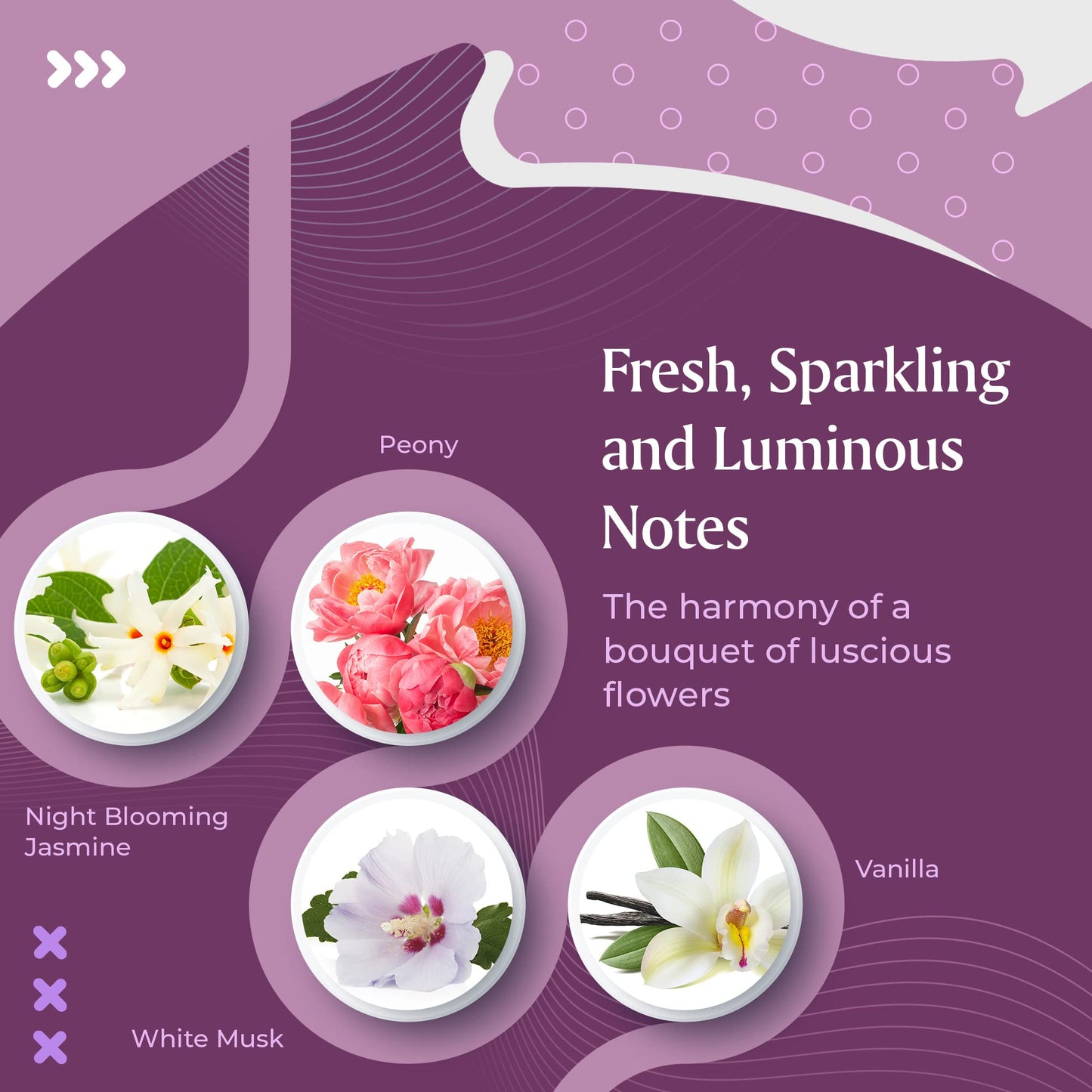 Sandora Fragrances Perfume for Women - INSPIRED by A WORLD RENOWNED WOMEN’S PERFUME - Fruity, Floral, Musk, Sweet - Black Currant, Pomegranate, Night