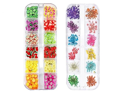 Sinen 1 Box Dried Flowers and 1 Box Fruit Slices for Nail Art, 3D Dry Flowers Nail Stickers ,Colorful Natural Real Flower Nail Decals, Fruit Fimo